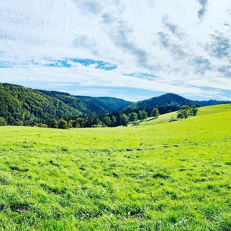 Ferienhaus Doina Гельберг Экстерьер фото